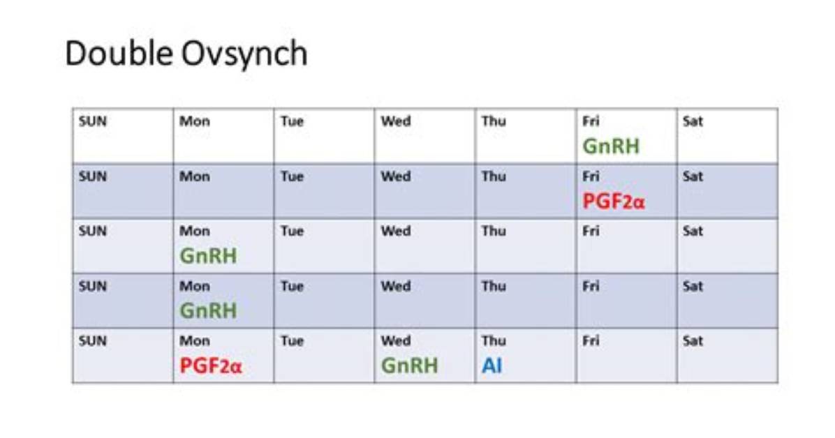 What Is Double Ovsynch