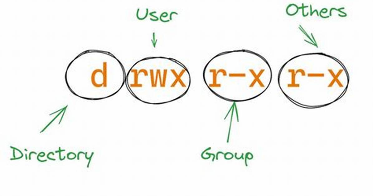 What Is Drwx in Linux?