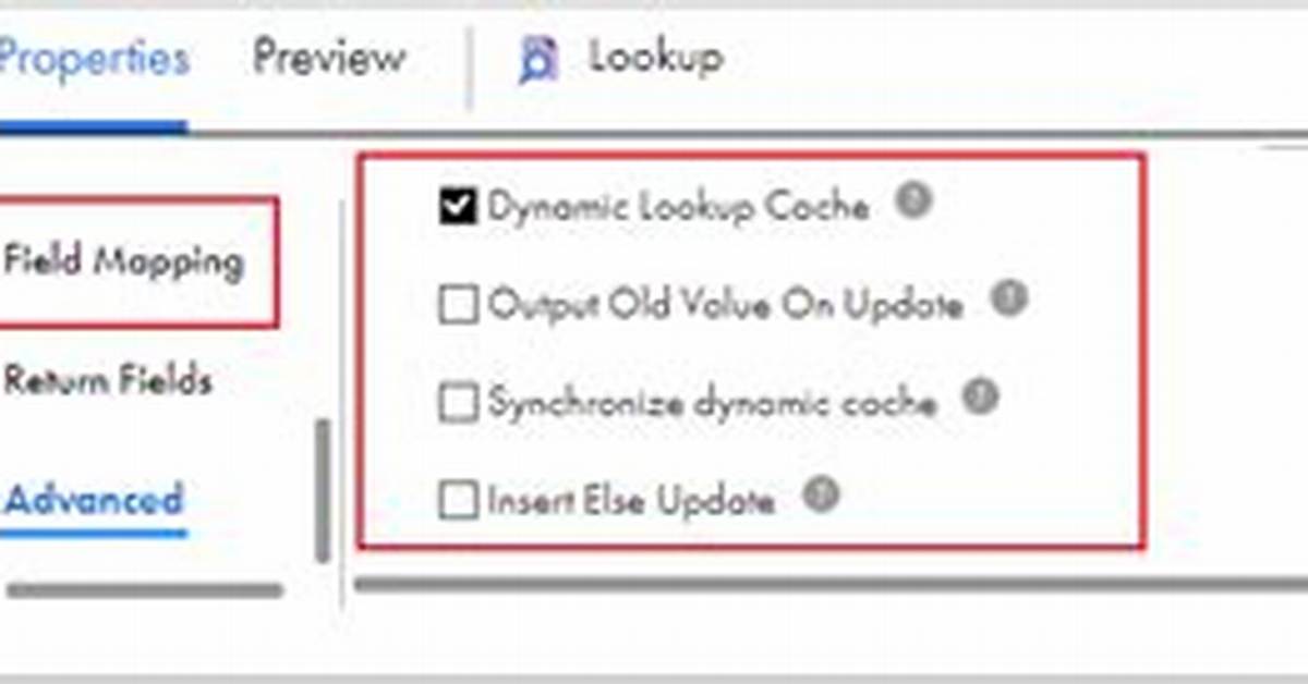 What Is Dynamic Lookup Cache in Informatica