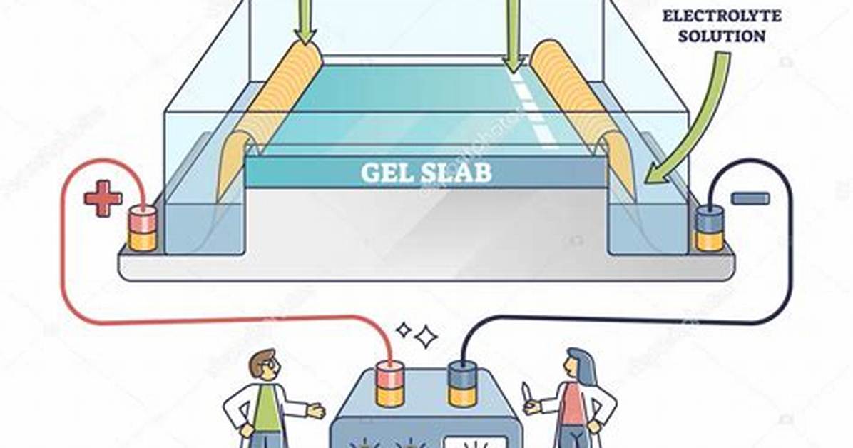 What Is Electrophoresis Method