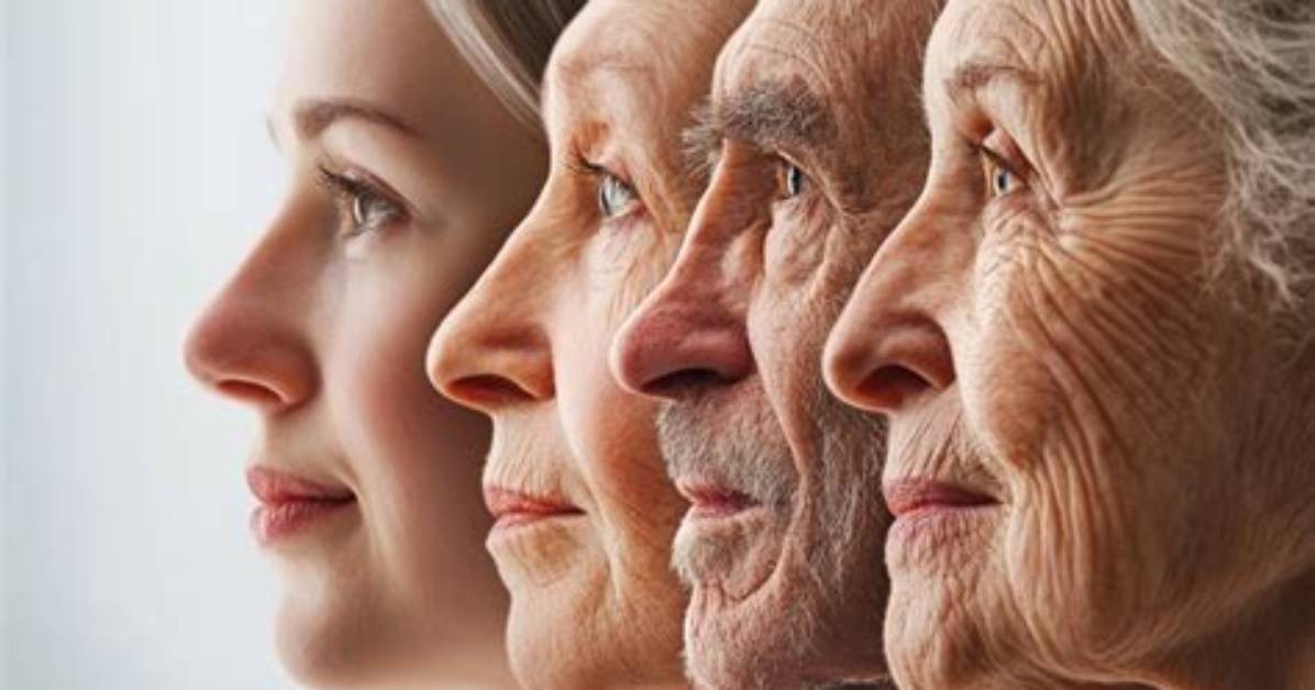 What Is Endocrinologic Aging?