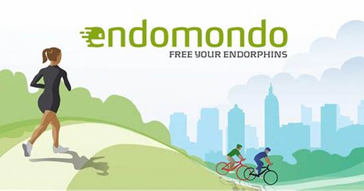 What Is Endomondo?