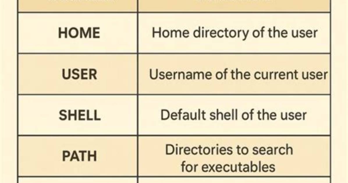What Is Environmental Variable in Linux?