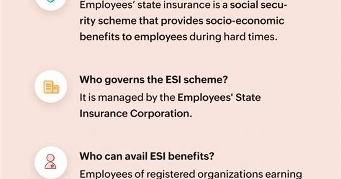 What Is Esi Scheme?