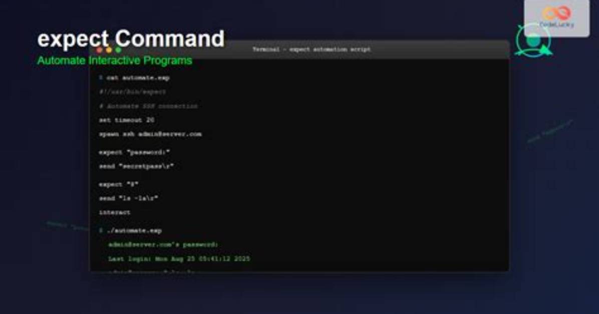 What Is Expect in Linux?