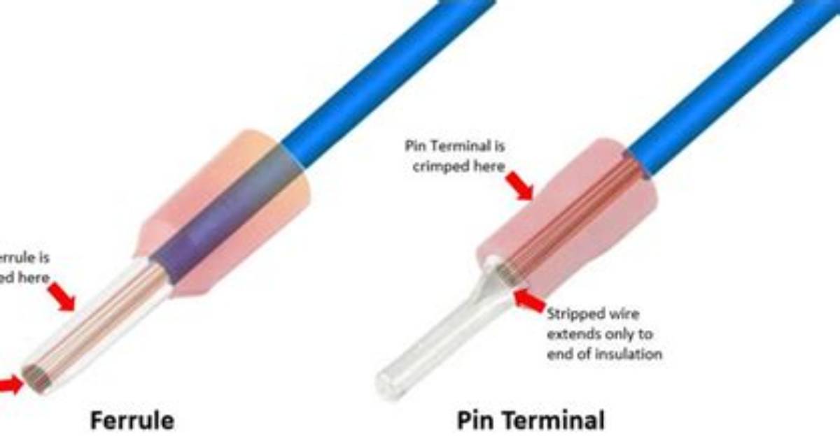 What Is Ferrule Point