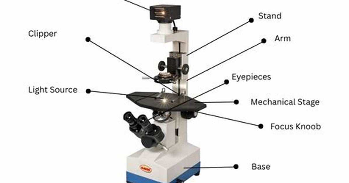 What Is Field Microscope