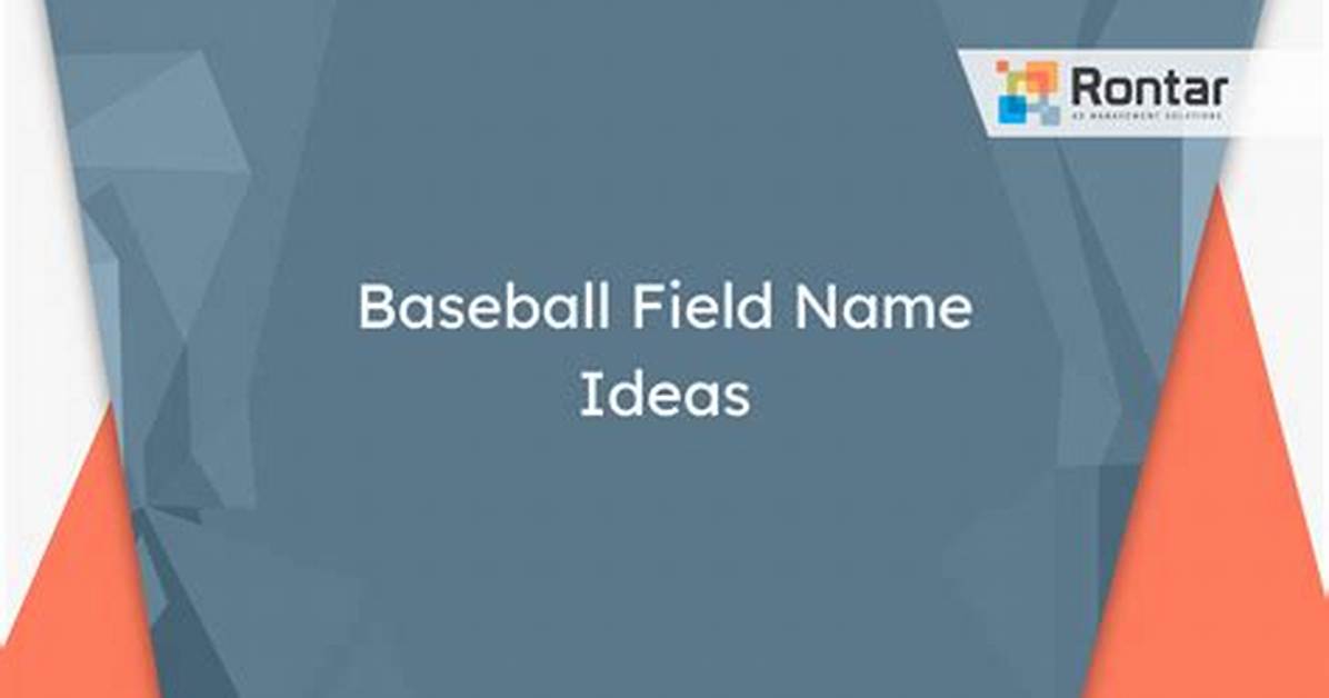 What Is Field Name