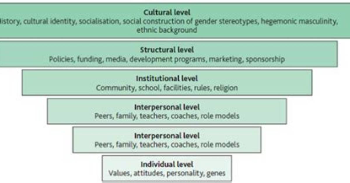 What Is Figueroas Framework Definition