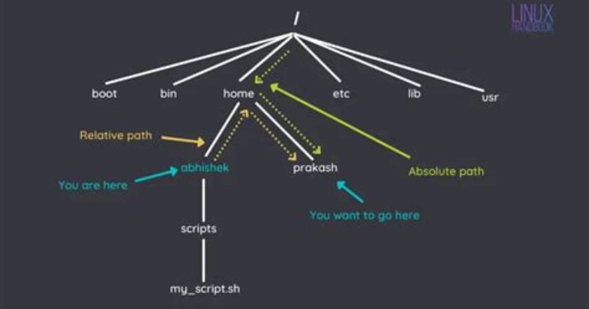 What Is File Path in Linux?