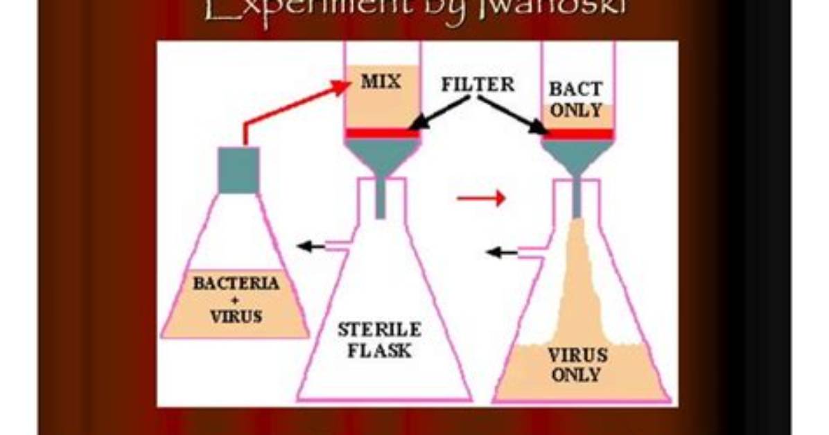What Is Filtrable Virus?