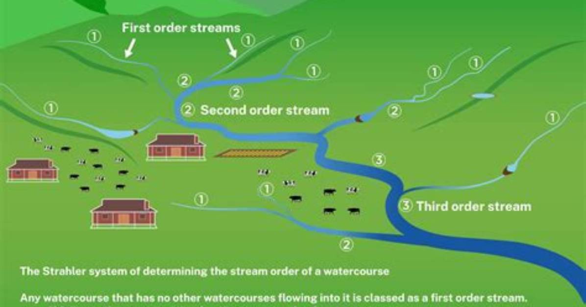 What Is First Order Stream?