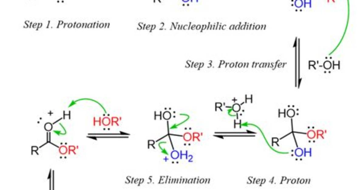 What Is Fischer Esterification?