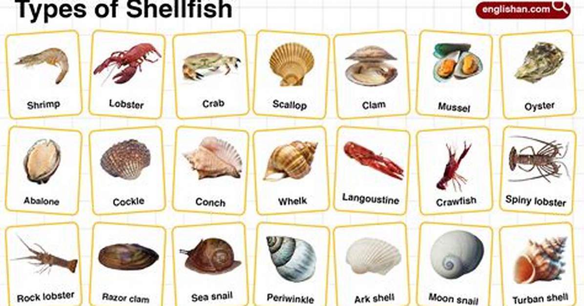 What Is Fish Shell?