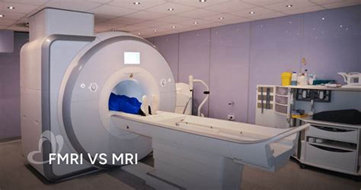 What Is fMRI and How Does It Work?
