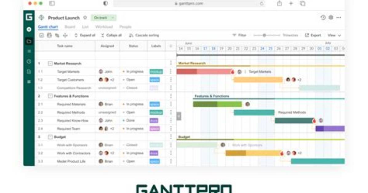 What Is Ganttpro
