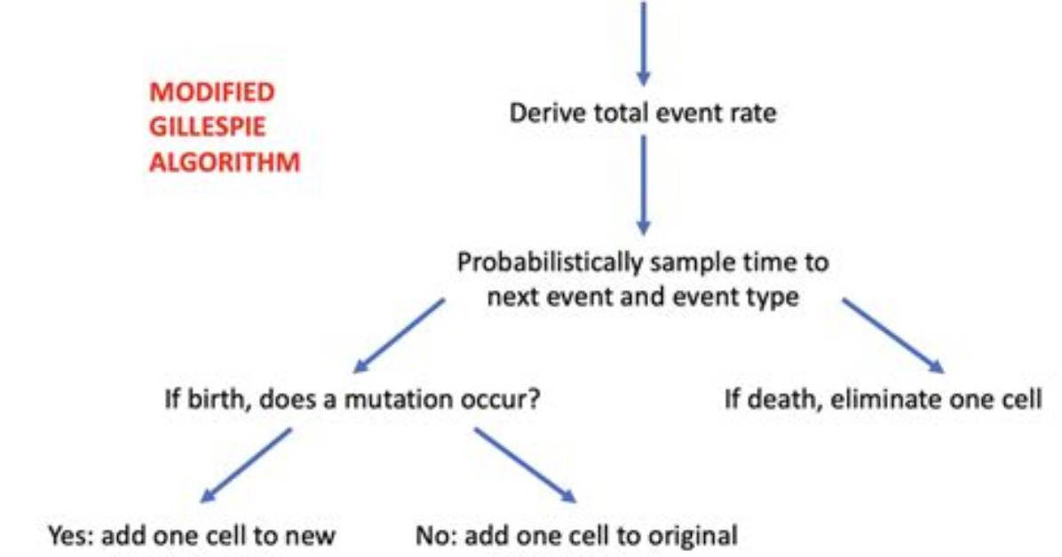 What Is Gillespie Algorithm?