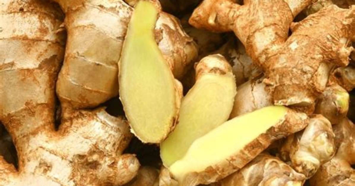 What Is Ginger Root Good for?