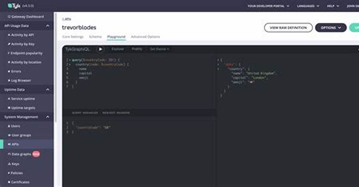 What Is Graphql Playground