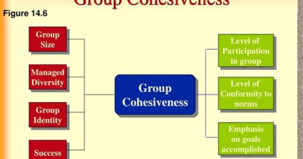 What Is Group Cohesiveness with Example?