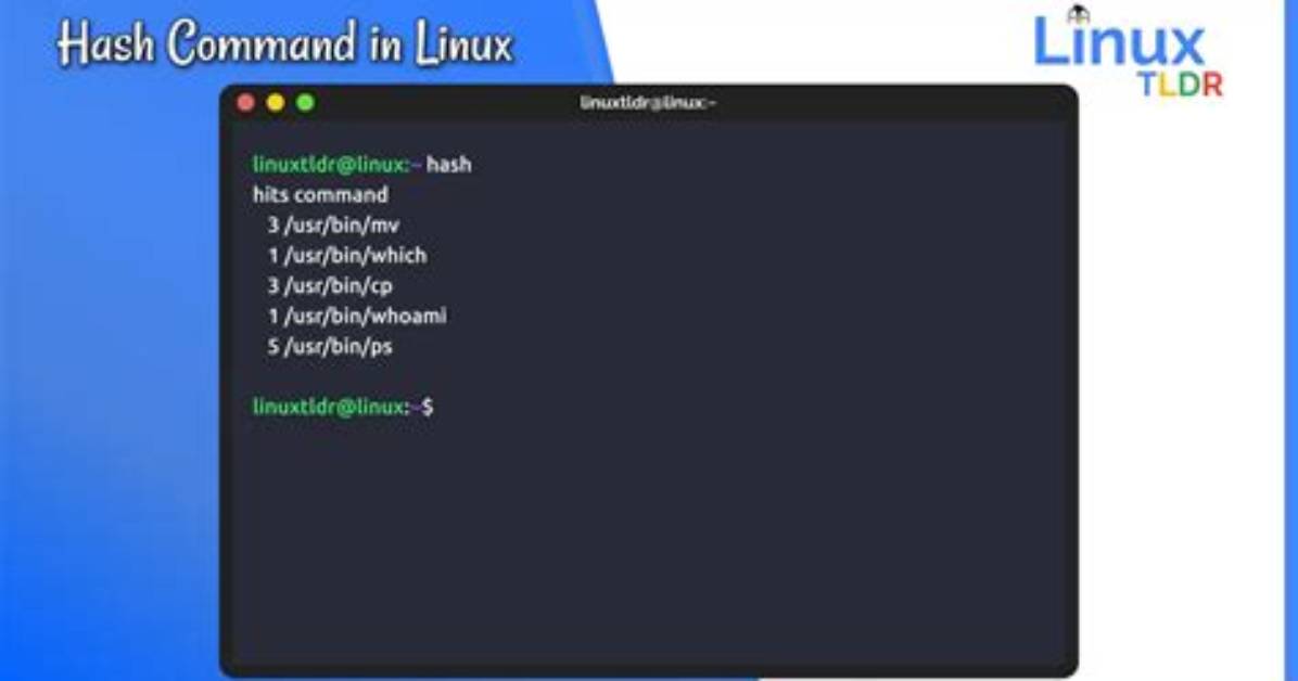 What Is Hash Command in Linux?