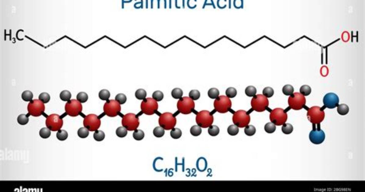 What Is Hexadecanoic Acid?