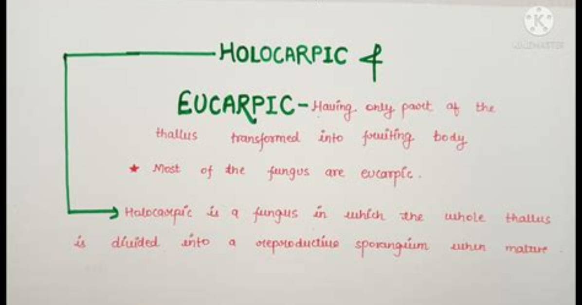 What Is Holocarpic and Eucarpic?