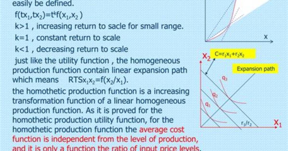 What Is Homogeneous Production Function?