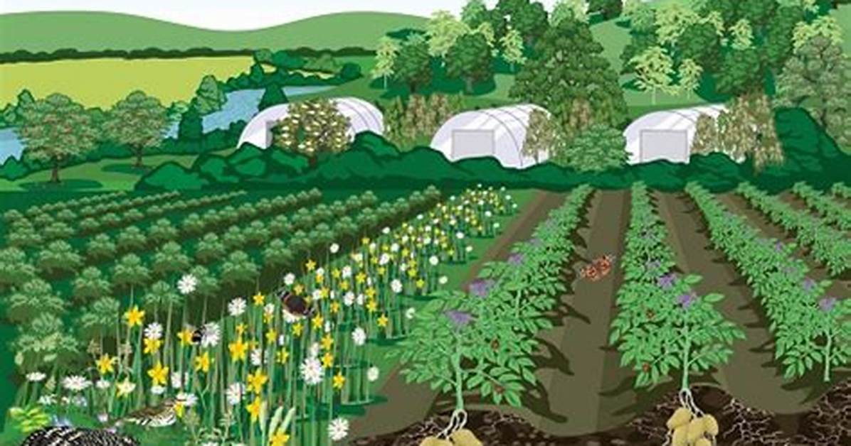 What Is Horticulture Farming?