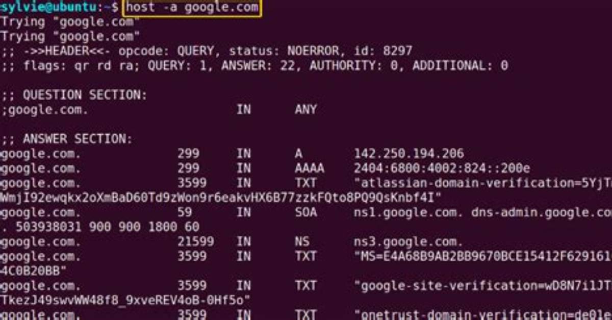 What Is Host Command in Linux?
