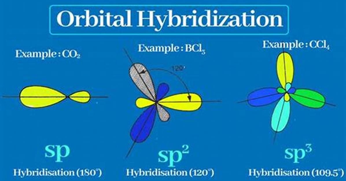 What Is Hybridization Simple Definition?