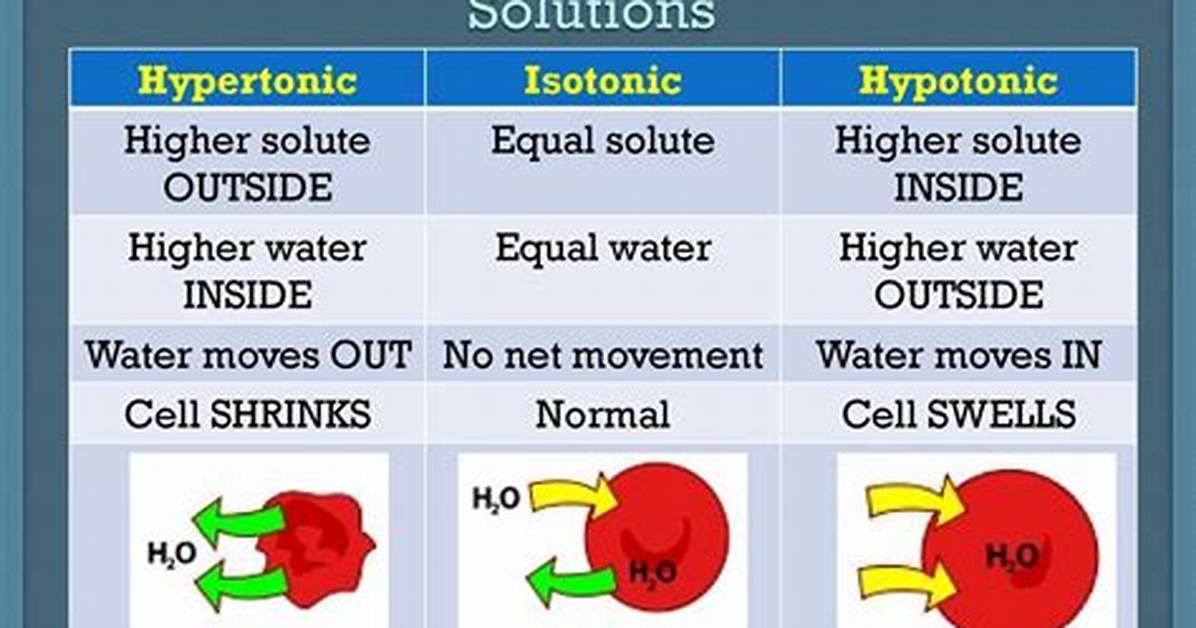 What Is Hyper Hypo and Isotonic Solution?