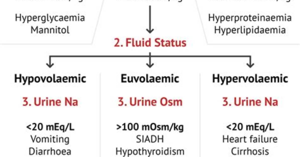 What Is Hyperosmolar Urine