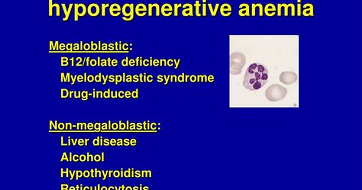What Is Hyporegenerative Anemia