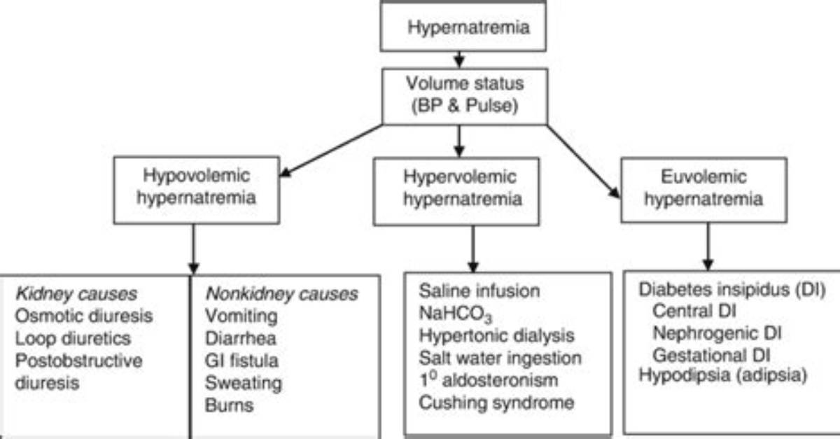 What Is Hypovolemic Hypernatremia