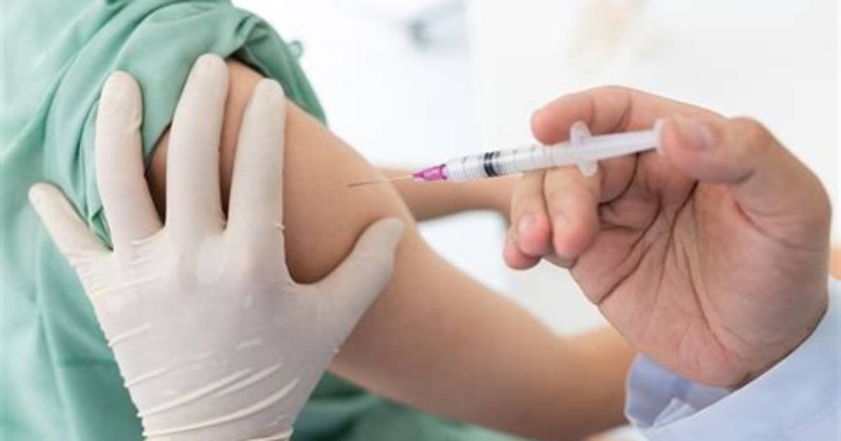 What Is Immunisation Definition?