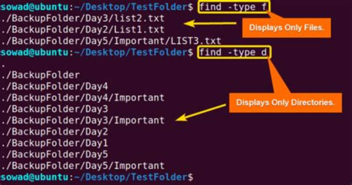 What Is in Find Command in Linux?