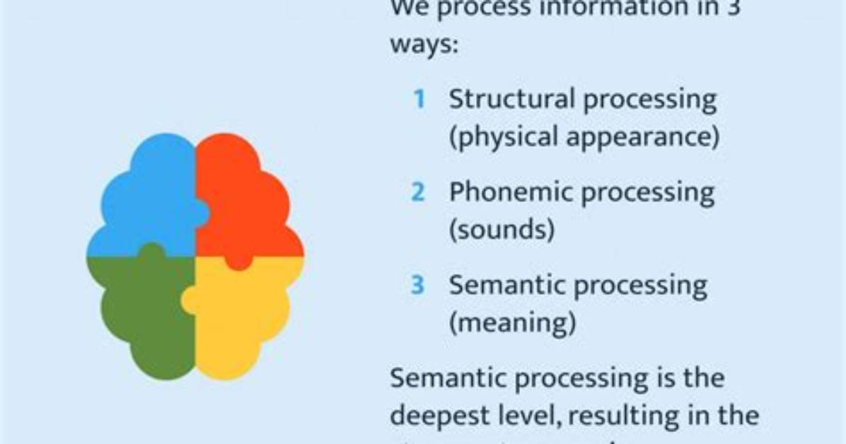 What Is Information Processing in Education