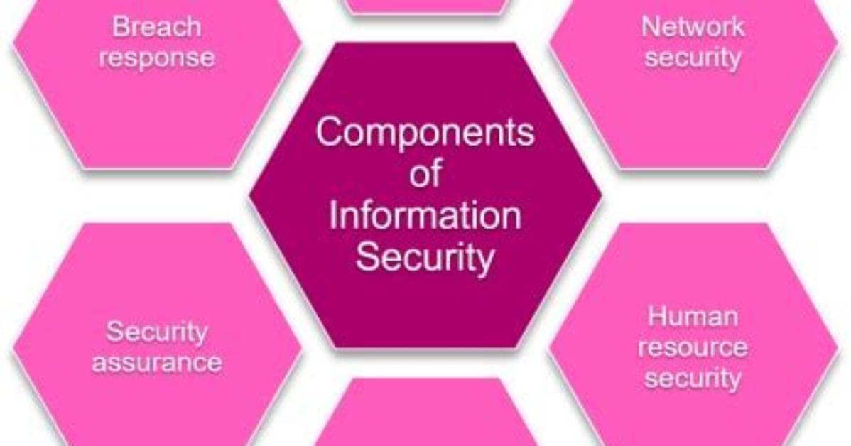 What Is Infosec? Information Security Explained