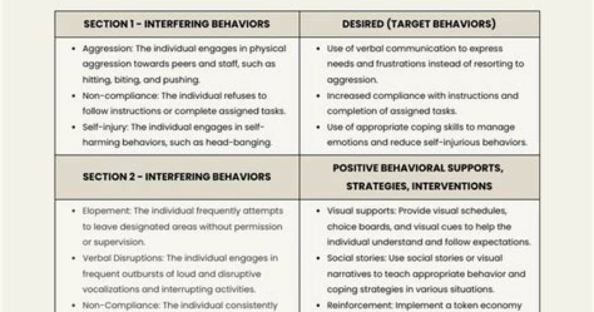 What Is Intervention Plan