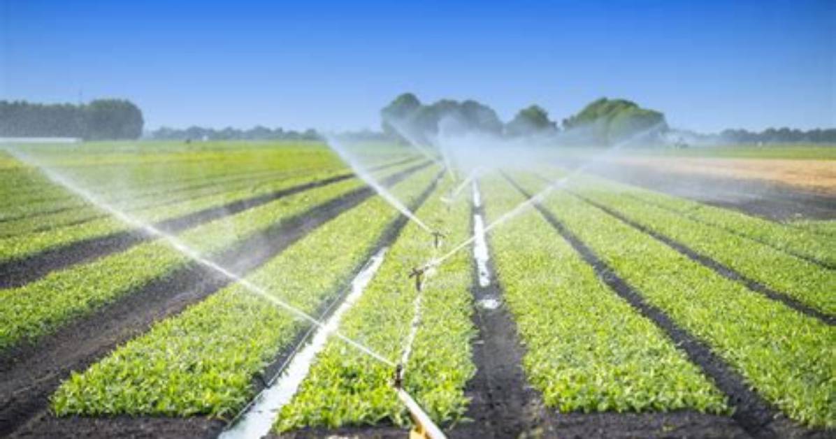 What Is Irrigation Process