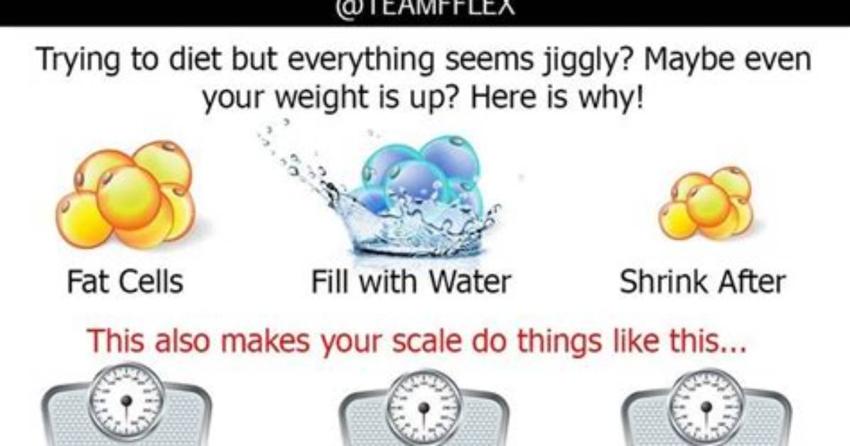 What Is Jiggly Fat? | Contextresponse. Com