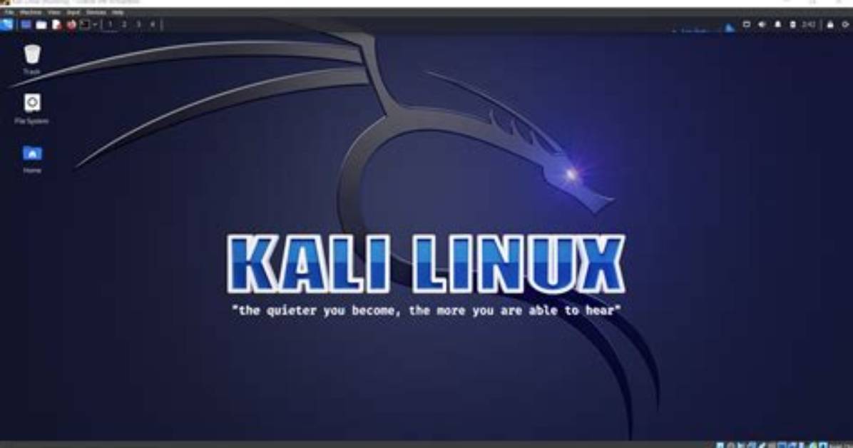 What Is Kali Linux Live vs Installer?