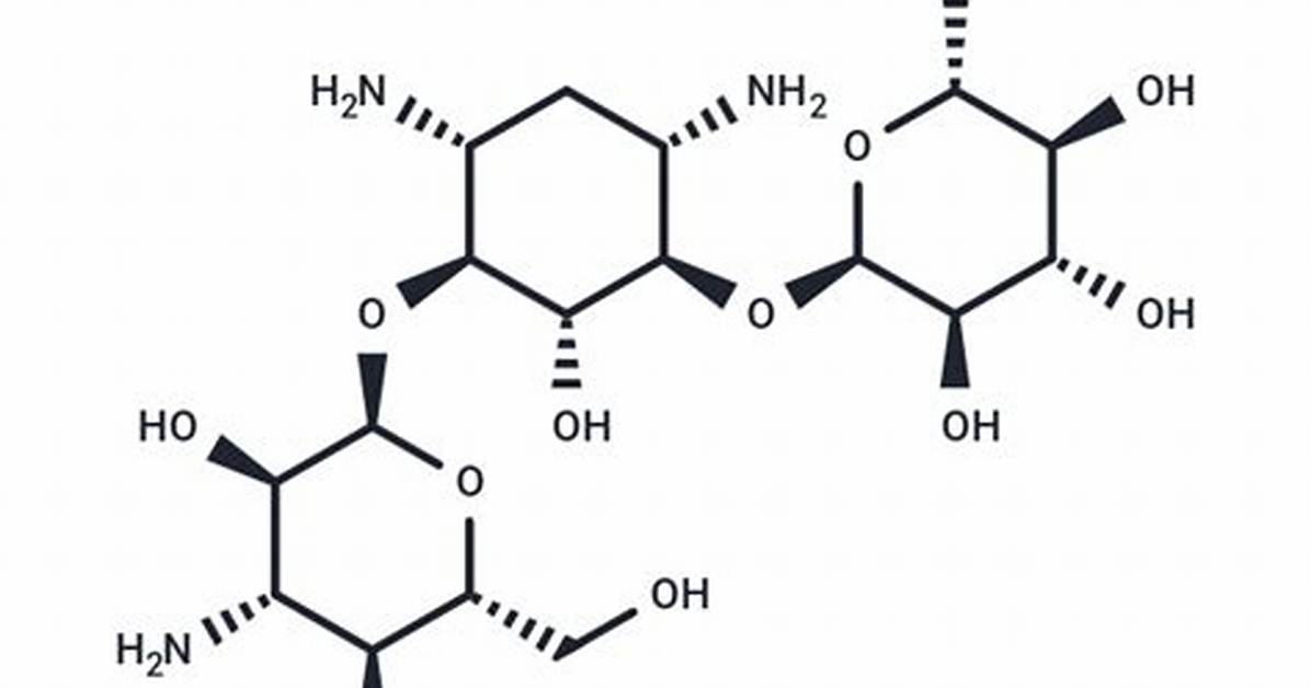What Is Kanamycin Target