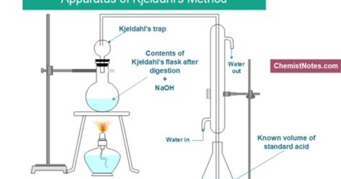 What Is Kjeldahl Method?