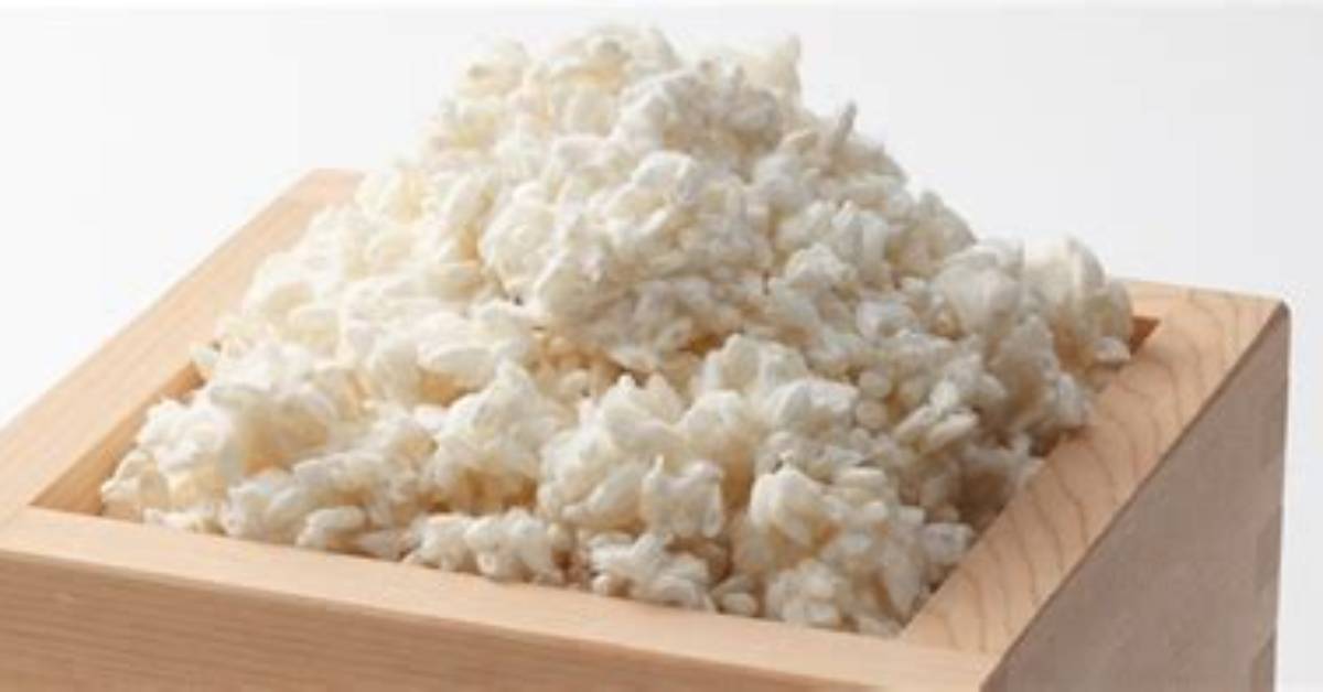 What Is Koji Culture