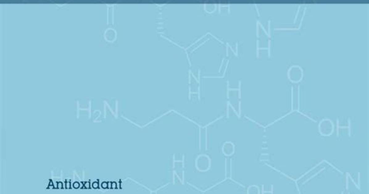 What Is L Carnosine? | Should You Be Taking It?