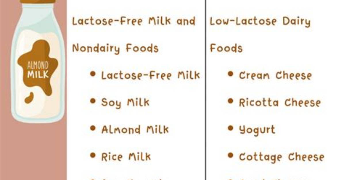 What Is Lactose Needed for?