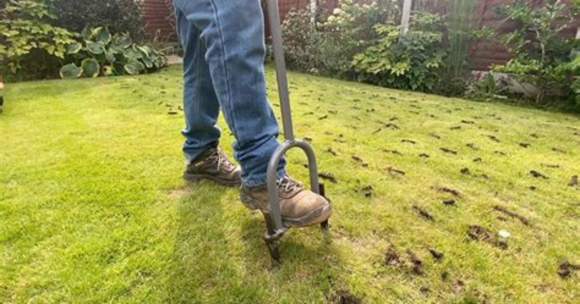 What Is Lawn Coring