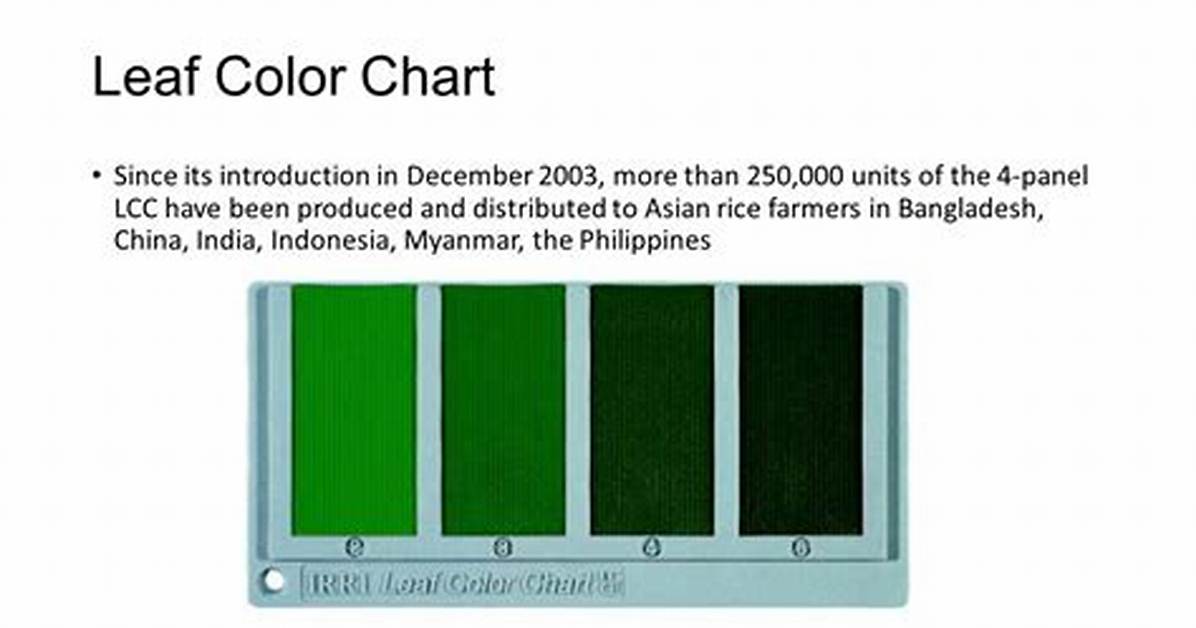 What Is Leaf Color Chart